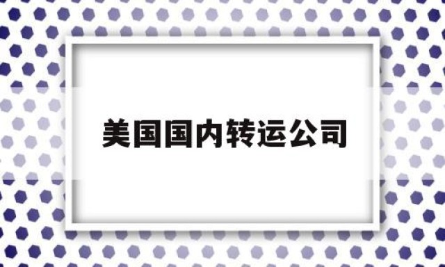 美国国内转运公司