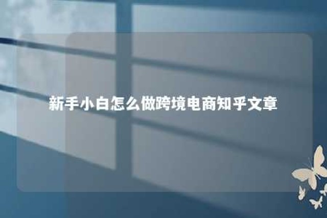 新手小白怎么做跨境电商知乎文章 怎么干跨境电商