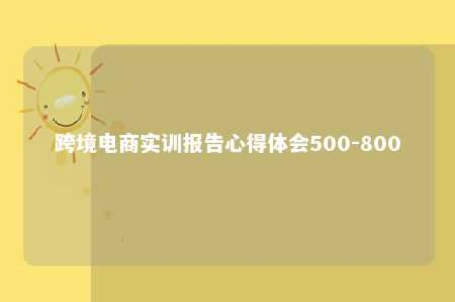 跨境电商实训报告心得体会500-800 跨境电商实训报告心得体会1000字